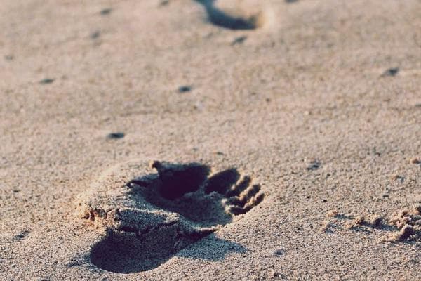5 Mitos del Fitness que Debes Dejar de Creer Hoy